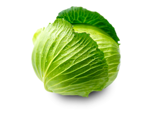 Cabbage PNG image-8805